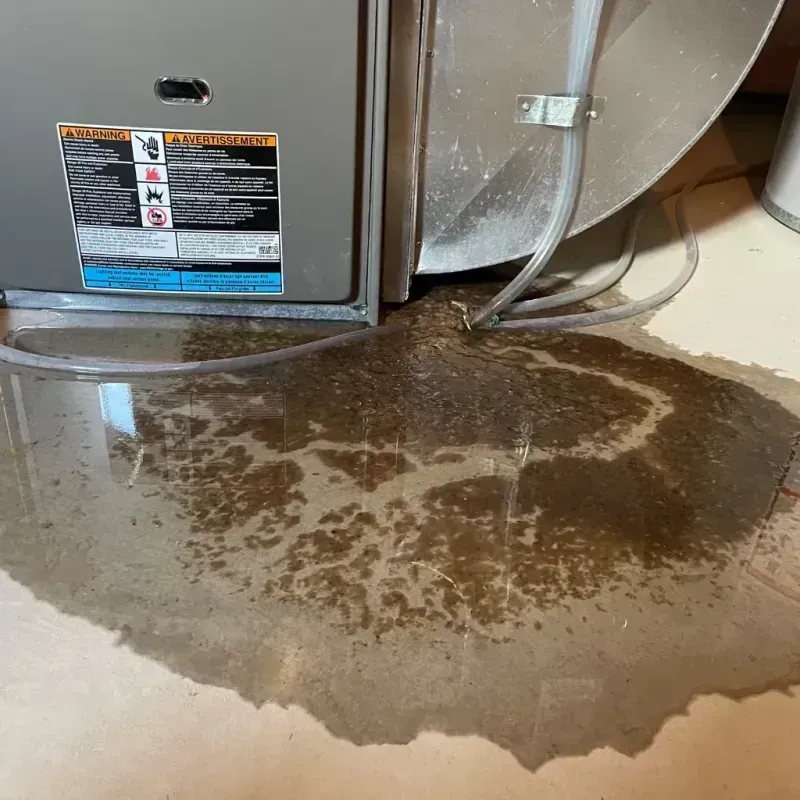 Appliance Leak Cleanup in Chardon, OH